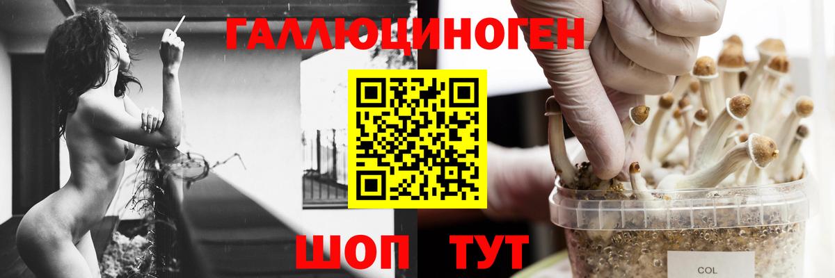 Псилоцибиновые грибы MAGIC MUSHROOMS Красный Сулин