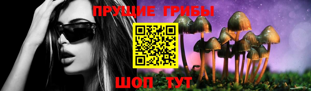 Псилоцибиновые грибы прущие грибы  дарнет шоп  Красный Сулин  Псилоцибиновые грибы прущие грибы  Вход с VPN 